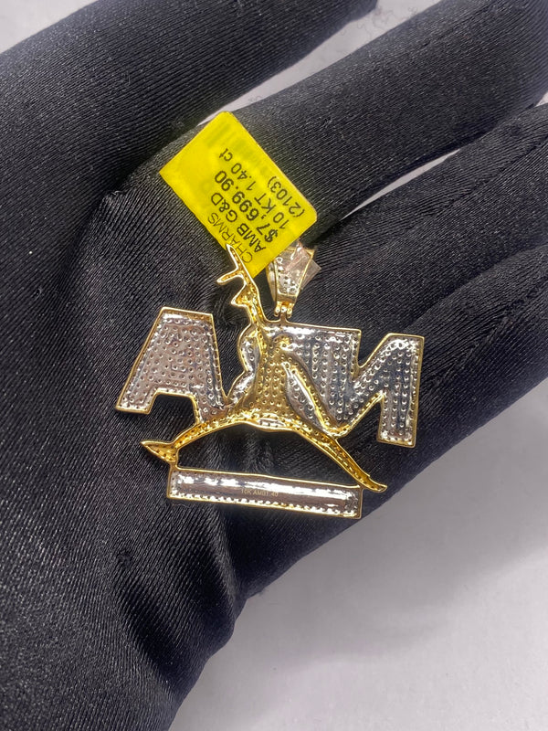 Real 10KT Gold with 1.40 CTW Diamond “NBA” charm